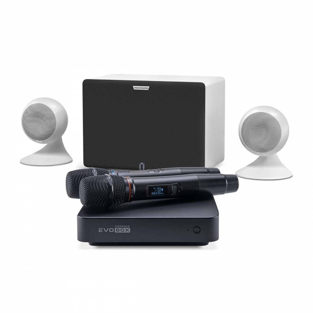 караоке-комплект EVOBOX Classic + EvoSound Sphere 2.1 в Серпухове